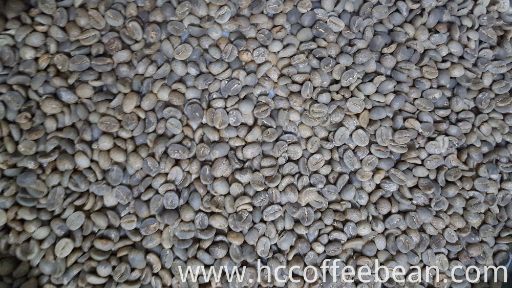 green coffee beans export shipment